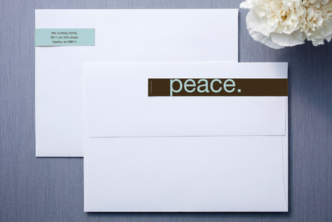 Chocolate and Blue Skinnywrap™ Address Labels