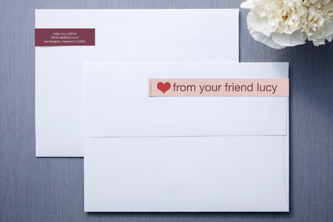 Pink Velvet Skinnywrap™ Address Labels