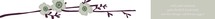 Apple Blossom Skinnywrap™ Address Labels
