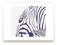 Hello Zebra!  Art Prints