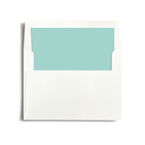 Winter Flourish Slip-In Envelope Liners