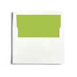 Winter Flourish Slip-In Envelope Liners