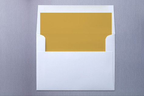 Oak Tree Slip-In Envelope Liners