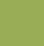 Oak Tree Slip-In Envelope Liners