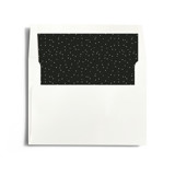 just married Slip-In Envelope Liners