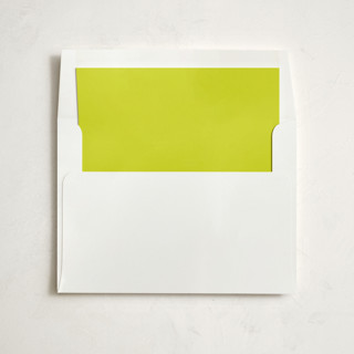 Infinite Slip-In Envelope Liners