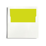 Infinite Slip-In Envelope Liners