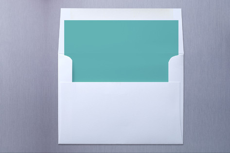 Lovenest Slip-In Envelope Liners