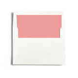 Aquarelle Slip-In Envelope Liners