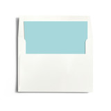 Aquarelle Slip-In Envelope Liners