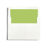 Aquarelle Slip-In Envelope Liners
