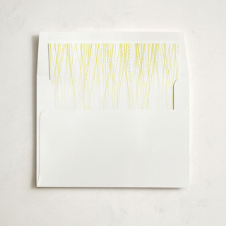 Goldshine Slip-In Envelope Liners