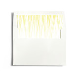 Goldshine Slip-In Envelope Liners