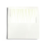 Goldshine Slip-In Envelope Liners