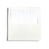 Goldshine Slip-In Envelope Liners