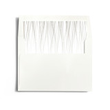 Goldshine Slip-In Envelope Liners
