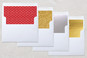 Slip-In Envelope Liners