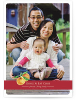Lucky Oranges Lunar New Year Cards