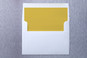 Slip-In Envelope Liners