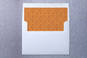 Slip-In Envelope Liners