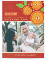 Tangerine Spray Lunar New Year Cards