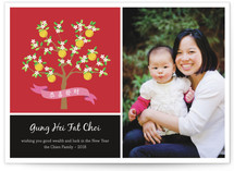 Orange Tree Lunar New Year Cards