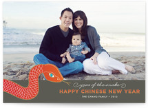 Festival Snake Lunar New Year Cards
