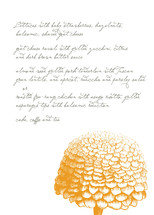 My Pretty Sunday Menu, by Emily Ranneby