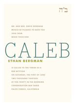Fete Mitzvah Invitations