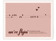 Bird Off the Wire Moving Announcements