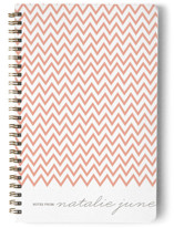 The Perfectionist Journals