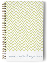 The Perfectionist Journals