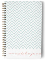 The Perfectionist Journals