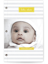 Hello, Stripes Journals