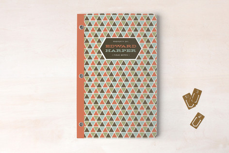 Triangulation Journals