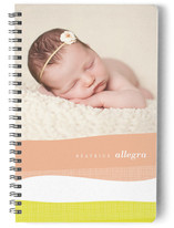 Painterly Spring Journals
