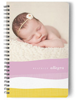 Painterly Spring Journals