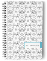 Owls Journals