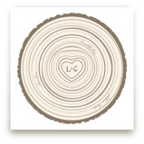 Family Tree Rings Art Prints