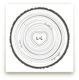 Family Tree Rings Art Prints