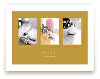 Stages Art Prints