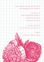 Bibliotheque Party Invitations