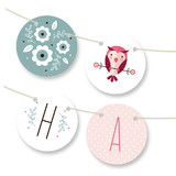 Blushing Owl Bunting Banners