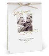 Elegant Script DIY Programs