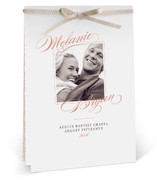 Elegant Script DIY Programs