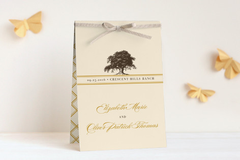 Oak Tree DIY Programs