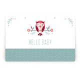 Blushing Owl Party Greeting Signs