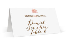 Coral Place Cards