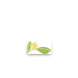 Wooded Blooms Mini Notecard Favor