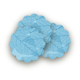 Asheville Artisan Scalloped Stickers